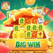 16bet win