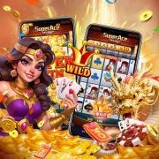 timbet. com
