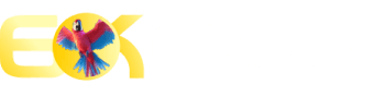 Vulkanbet com - B1bet

